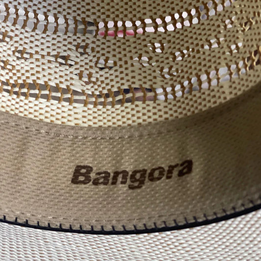 TWISTER BANGORA SHORTY 3-1/2" BRIM